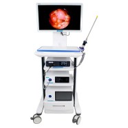 Endoscopio-L200