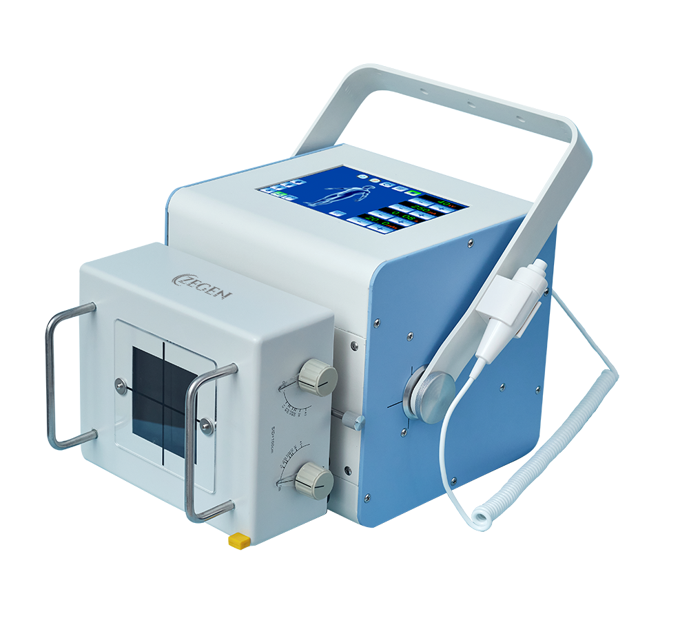 PRZ-300